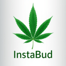 Instabud