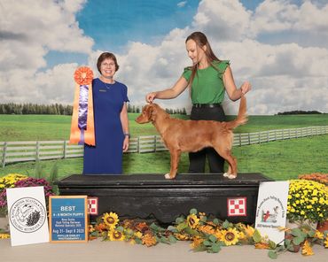 Woman presenting a dog with a large award ribbon at a dog show event.
