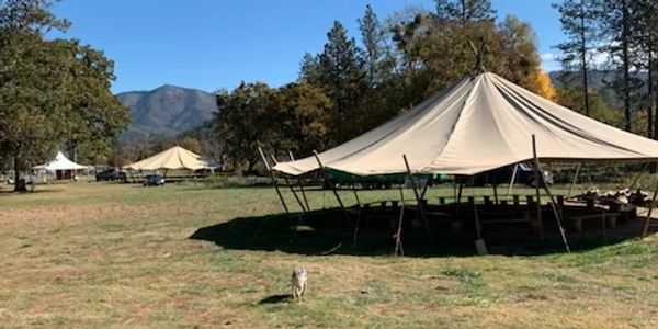 Multiple Skylodges