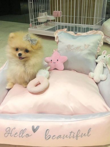 Fluffy Pomeranian puppy with a bow sitting on a pink cushioned bed with toys.