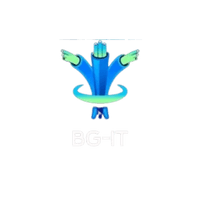 BG IT LLC