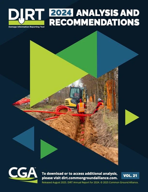 DIRT report infographic