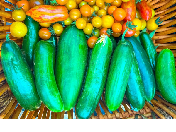 Fresh Seasonal Produce