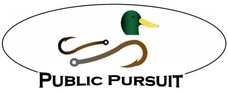 Public Pursuit