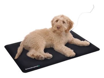 a dog on a GroundingWell mat