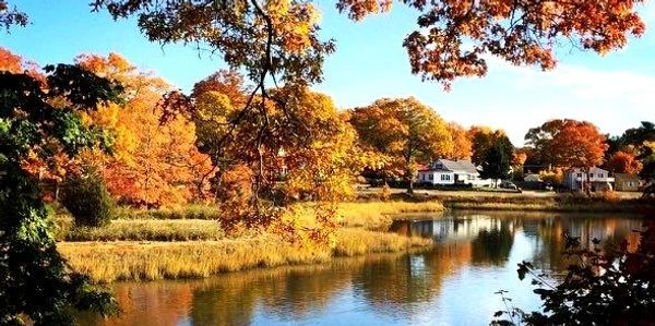 Autumn landscape with colorful trees reflecting on a calm river beside houses.