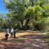 The wedding tree Red Rock State Park