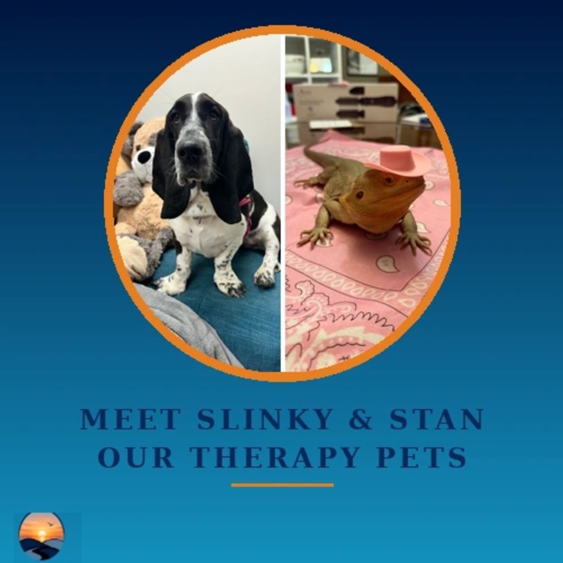 Meet Slinky the dog and Stan the lizard, therapy pets.