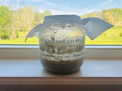 Picture of sourdough starter