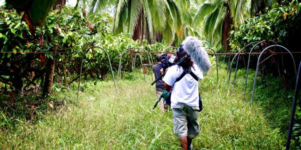 Persona grabando en un campo verde con palmeras.