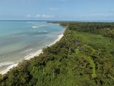 Costa con playa y bosque tropical.
