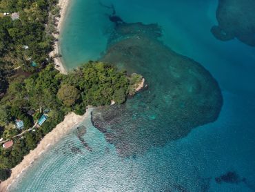 Vista aérea de una playa con agua turquesa y vegetación.