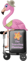 The Travleing Flamingo