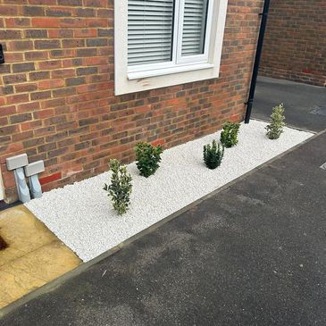 Small bushes planted in white gravel beside a brick house.