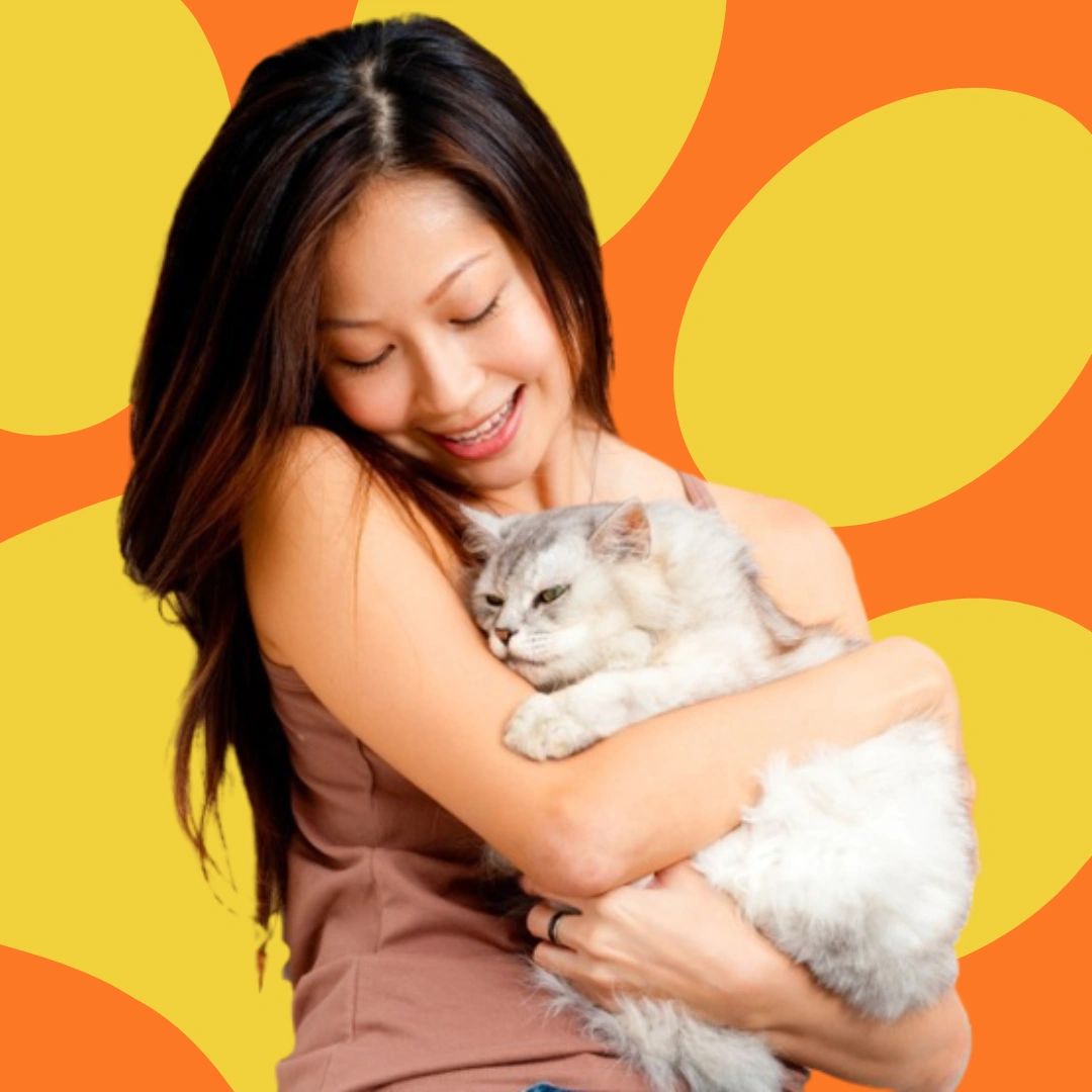 Simple guide in choosing the right food for your feline friend Simple guide in choosing the right food for your feline friend