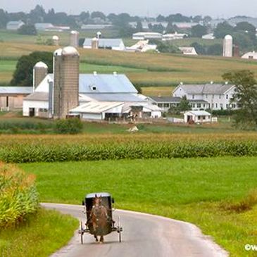 A horse and buggy on a back road in Lancaster County Pennsylvania.