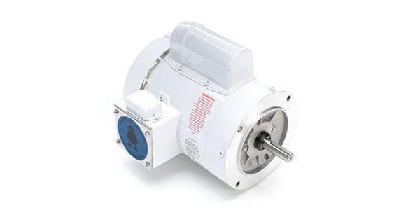 Mueller Wash Motor For Tank Washer