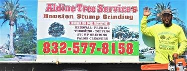 Tomball Tree Service