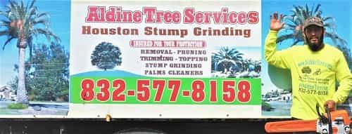 Aldine Tree Services Houston Stump Grinding
