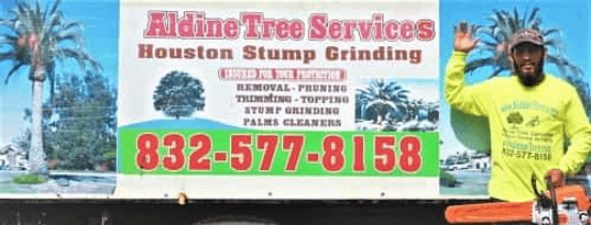 Aldine Tree Services Houston Stump Grinding 