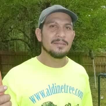 Delfino Sanchez under large plum tree wearing a yellow shirt reading www.aldinetree.com