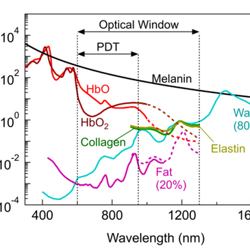 The therapeutic window of the energy spectrum is between 300nm and 1600nm 