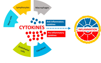 Photomedicine (laser) therapy helps to modulate overactive cytokine responses