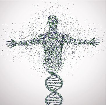 Made from condensed vibrational light energy, DNA is a chromophore that absorbs photons