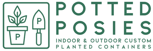 POTTED POSIES