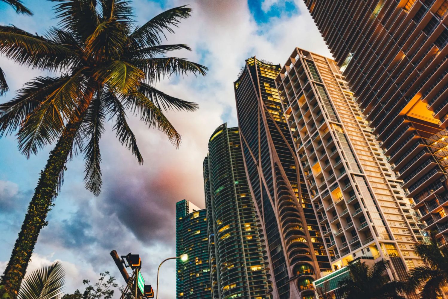 Palm tree beside modern high-rise buildings under a colorful sky at dusk.