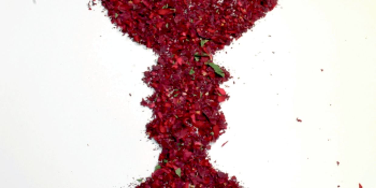 Rubins vase, med vase av blomster