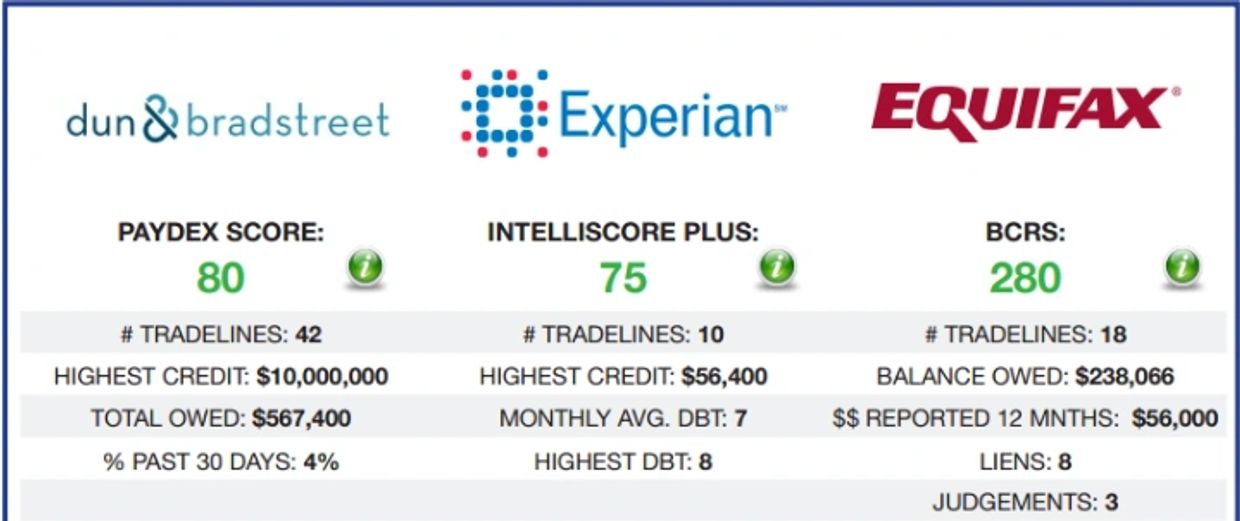 Dun & Bradstreet 
Experian 
Equifax
