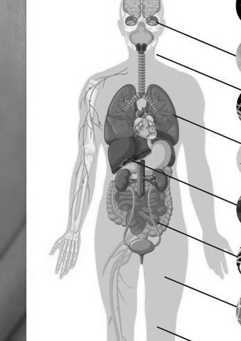 EL TRATAMIENTO DE REGENERACION CELULAR COMIENZA CON UNA PROFUNDA DESPARASITACION  CON PARASITEBUSTER