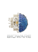 Bioware