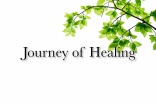 Journey of Healing