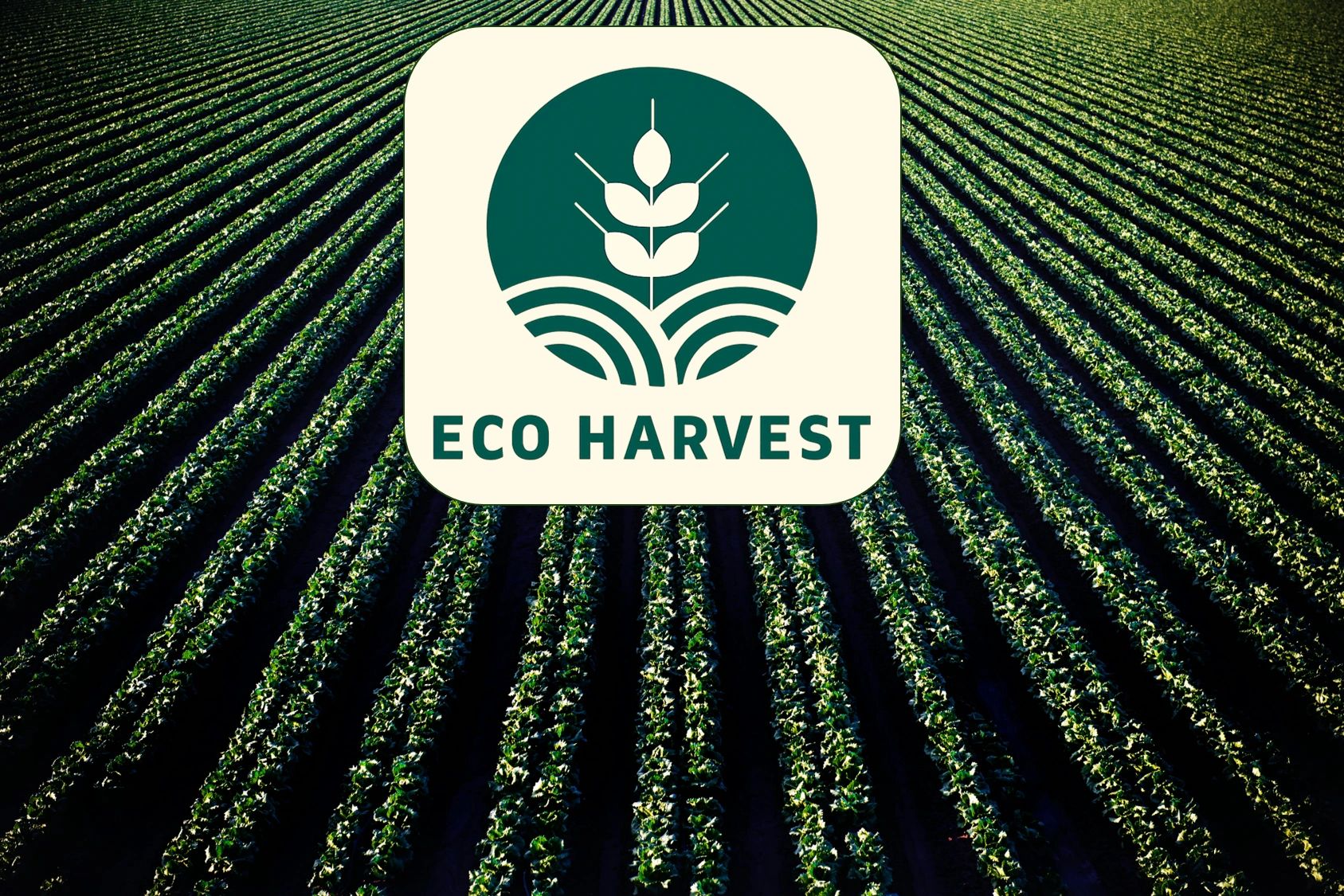 Eco Harvest