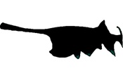 OKLAHOMA PADDLEFISH GUIDE SERVICE