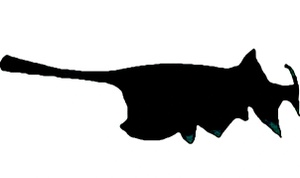 OKLAHOMA PADDLEFISH GUIDE SERVICE