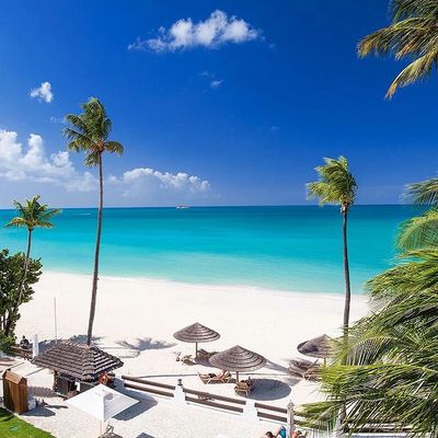 SANDALS ANTIGUA, ANTIGUA, WEDDINGS, COUPLES,HONEYMOONS