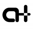 ASHER SERVICES, INC. 