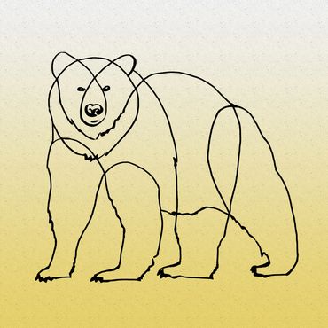 bear