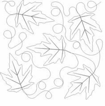 Maple Leaves 