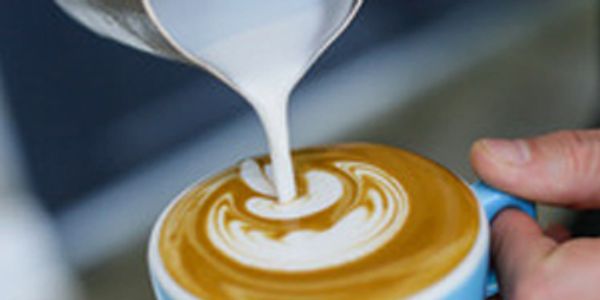 Pouring steamed milk to create latte art in a blue cup.