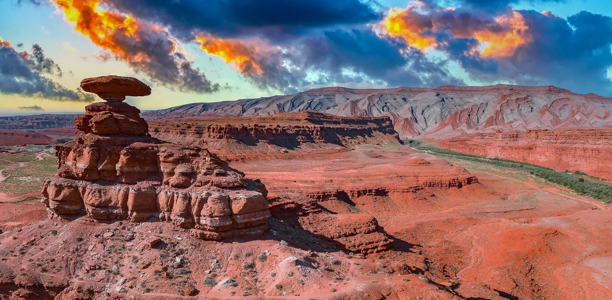 International Projects