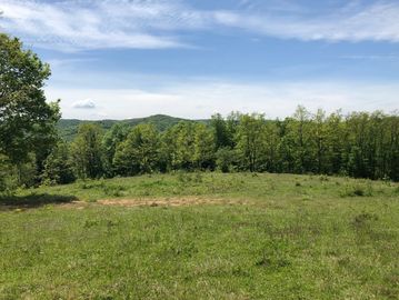 A green grassy field with trees and hills under a blue sky.