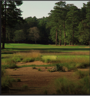 Golf course with green and sand bunker surrounded by trees.
