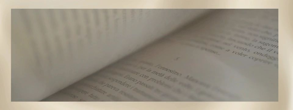 https://img1.wsimg.com/isteam/ip/55660eff-509d-4505-9854-a824347e6d1c/thumbnails/thumbnail-2904ed7e-70ee-4382-9345-2ce07b47cabb.png