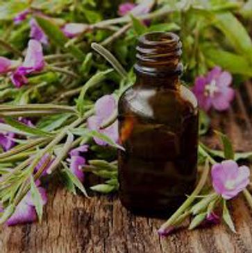 Bach Flower Remedies