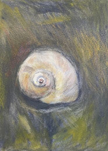 A pastel drawing of a white spiral seashell on a textured background.