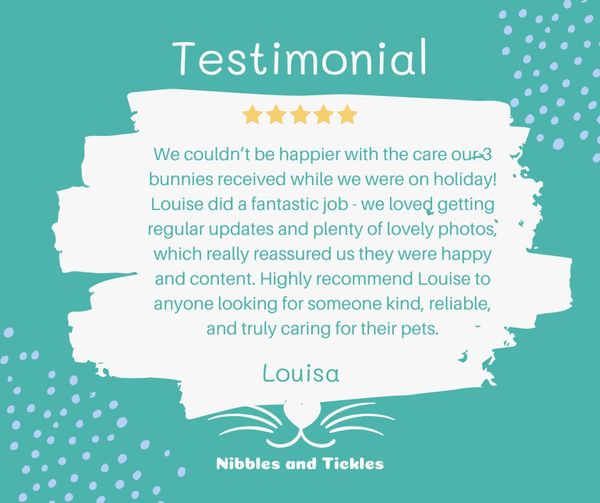 5* Google Review 